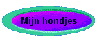 Mijn hondjes