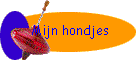 Mijn hondjes